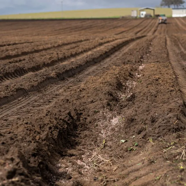 thumbnail for publication: Soils and Fertilizers for Master Gardeners: Tackling Soil Salinity Problems in the Home Landscape